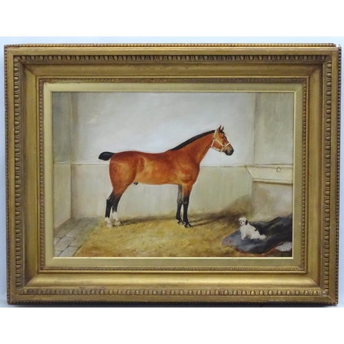 360 - T Benson c1890 Equine School, Oil on canvas, a pair, Portrait of a bay hunter horse in a stable with... 