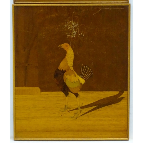 391 - Cockfighting: A pair of parquetry panels, Gamecock portraits each wearing spurs, Each 14 1/4 x 12''