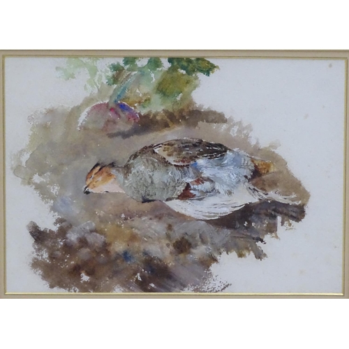 392 - Shooting: Whiteley XIX-XX,  Watercolour, a pair, English Partridge & Rabbit in the snow, Each with s... 