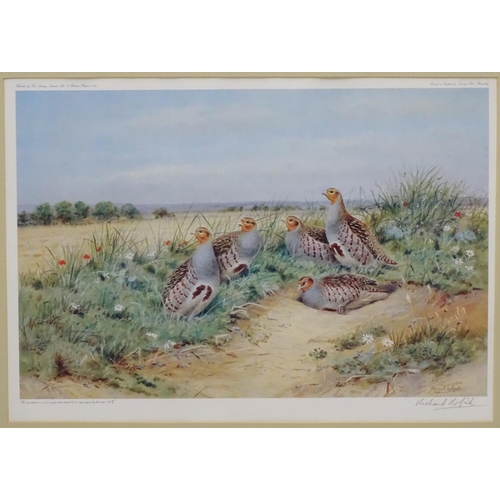 396 - Shooting: Richard Robjent (1937), Signed limited edition coloured print 115/500, Gamebirds, Covey of... 