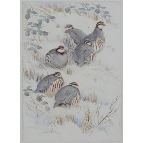 399 - Shooting: Peter Partington (1941), Four limited edition, signed hand coloured etchings,  Gamebirds, ... 