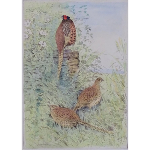 399 - Shooting: Peter Partington (1941), Four limited edition, signed hand coloured etchings,  Gamebirds, ... 