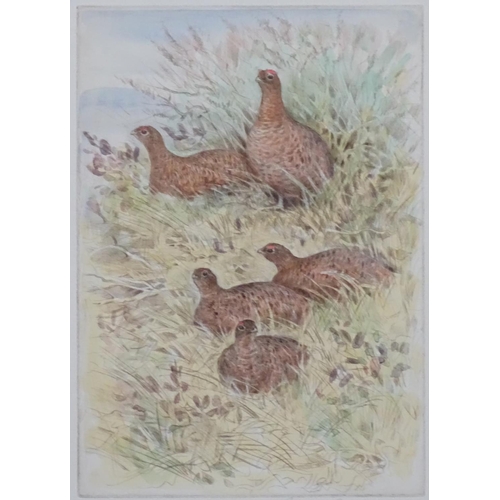 399 - Shooting: Peter Partington (1941), Four limited edition, signed hand coloured etchings,  Gamebirds, ... 