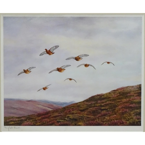 401 - Shooting: Geoffrey Campbell Black (XX), Signed coloured print, Gamebirds, Grouse flying over heather... 