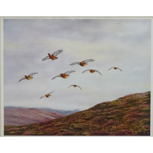 401 - Shooting: Geoffrey Campbell Black (XX), Signed coloured print, Gamebirds, Grouse flying over heather... 