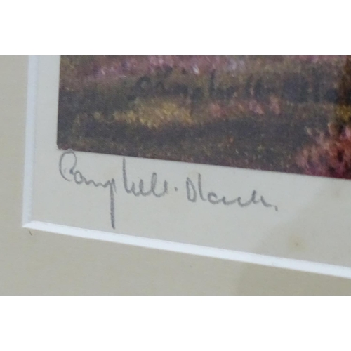 401 - Shooting: Geoffrey Campbell Black (XX), Signed coloured print, Gamebirds, Grouse flying over heather... 