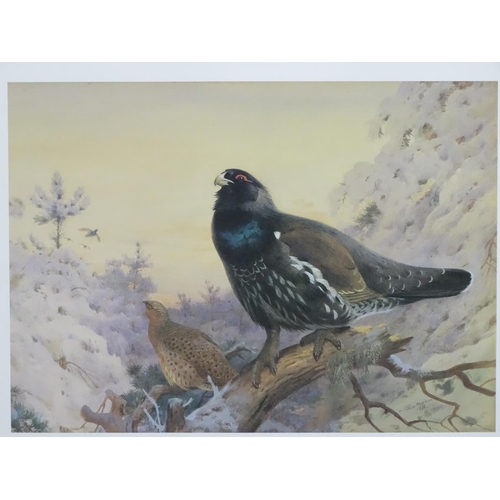 403 - Shooting: After Archibald Thorburn (1860-1935), Limited edition coloured print 65/850, 'Winter in th... 