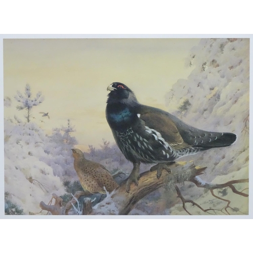 403 - Shooting: After Archibald Thorburn (1860-1935), Limited edition coloured print 65/850, 'Winter in th... 