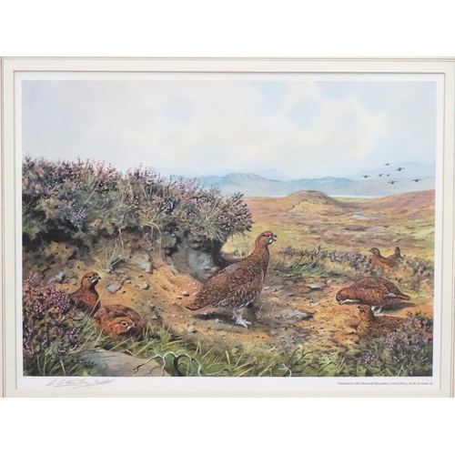 404 - Shooting: C Stanley Todd (1923-2004), Signed coloured print, Red Grouse game birds in the Highlands,... 