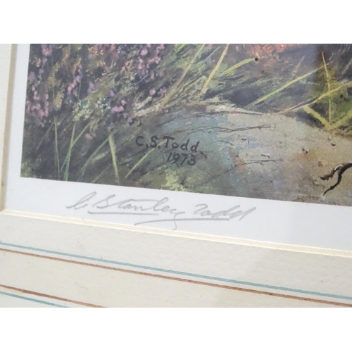 404 - Shooting: C Stanley Todd (1923-2004), Signed coloured print, Red Grouse game birds in the Highlands,... 