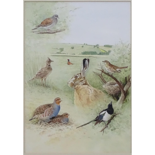 407 - Ben Hoskyns (1963), Watercolour, Pheasant, Sky Lark, Magpie, English Partridge, Turtle Dove, Hare, T... 