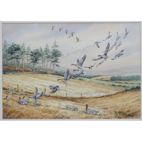 409 - Wildfowling: Simon T Trinder (XX-XXI), Watercolour and gouache with border mount illustrations, 'Oct... 