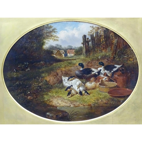 411 - John Frederick Herring  Jnr ( 1815-1907), Oil on canvas , an oval,  ' Duck And  Drakes ' , ducks and... 