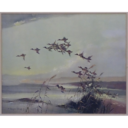 412 - Wildfowling: After Vernon Ward mid XX, Coloured print, Springing Teal etc. over tidal estuary, Bears... 