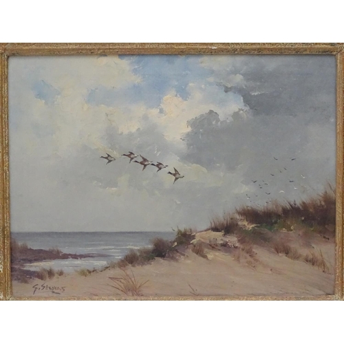 413 - Wildfowling: G Stevens mid XX, Oil on canvas, Mallard Ducks migrating over the sea, Signed lower lef... 