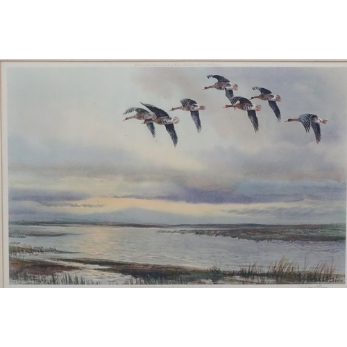 415 - Wildfowling: Roland Green (1896-1972), Limited edition artist proof coloured print, 'White Fronted G... 