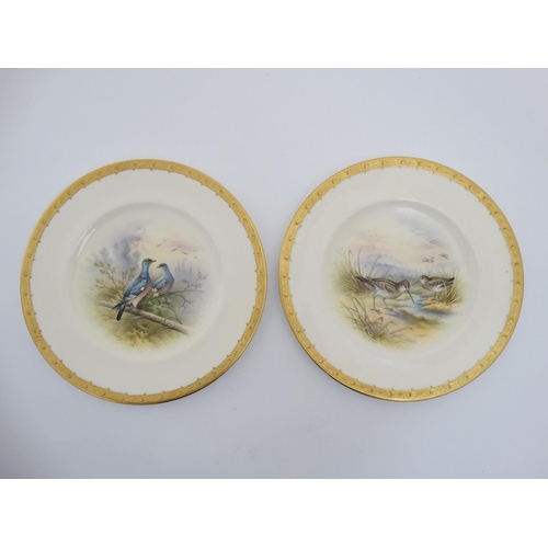 420 - A pair of c1910 Coalport Game Bird hand painted cabinet plates , titled 'Wood Pigeon' and 'Snipe', e... 