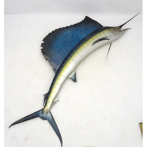 45 - Taxidermy: A large, imposing side mount of a Sailfish, together with plaque: 'Sailfish - caught by W... 