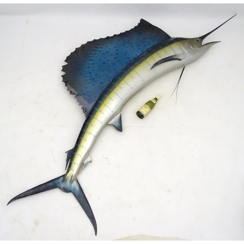 45 - Taxidermy: A large, imposing side mount of a Sailfish, together with plaque: 'Sailfish - caught by W... 