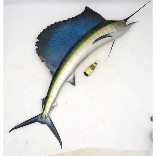 45 - Taxidermy: A large, imposing side mount of a Sailfish, together with plaque: 'Sailfish - caught by W... 