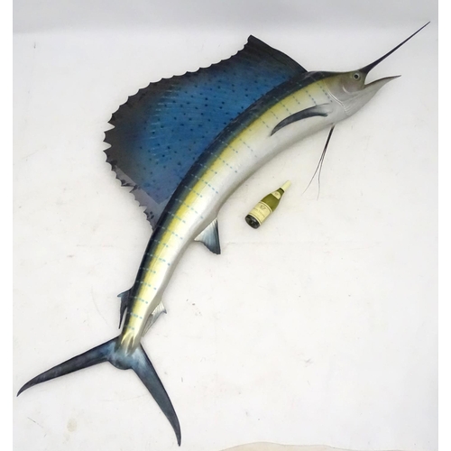 45 - Taxidermy: A large, imposing side mount of a Sailfish, together with plaque: 'Sailfish - caught by W... 