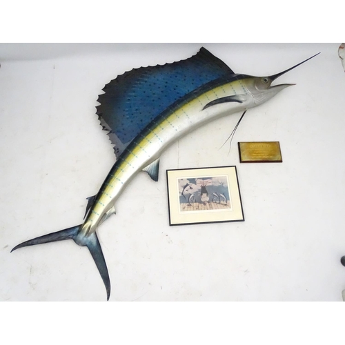 45 - Taxidermy: A large, imposing side mount of a Sailfish, together with plaque: 'Sailfish - caught by W... 