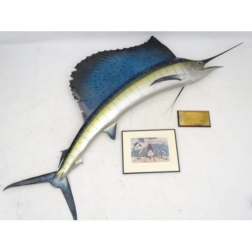 45 - Taxidermy: A large, imposing side mount of a Sailfish, together with plaque: 'Sailfish - caught by W... 