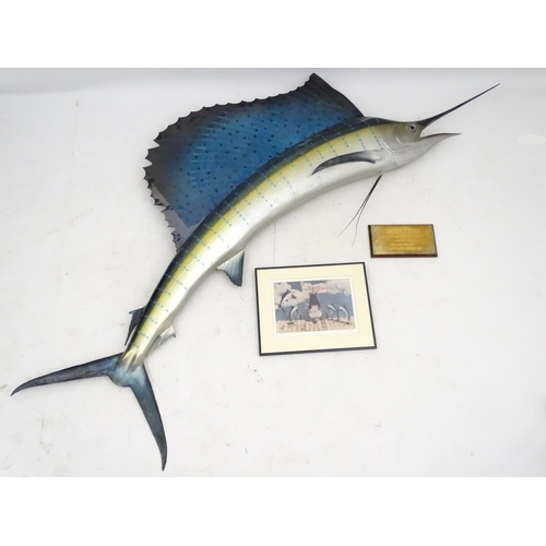 45 - Taxidermy: A large, imposing side mount of a Sailfish, together with plaque: 'Sailfish - caught by W... 