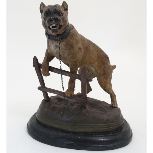 451 - After C. Valton A cold painted large cast bronze of a bull mastiff tethered to a fence on an oval ba... 