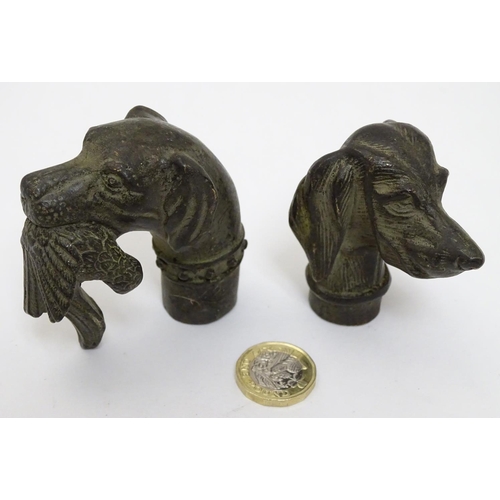 455 - Two dogs head walking stick / cane  handles, one a hound 2 1/2' high', the other hound with game bir... 