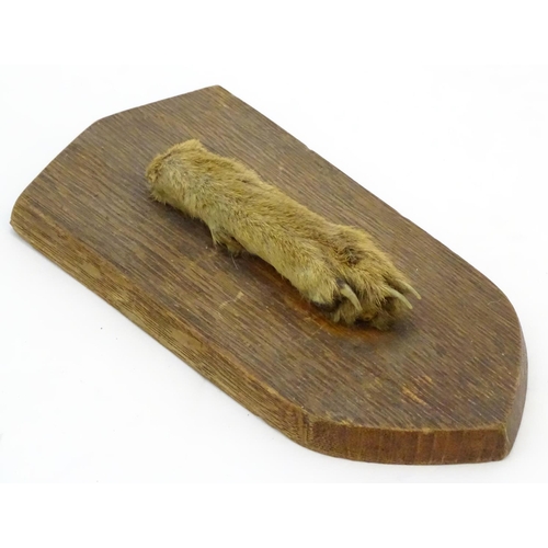 49 - Taxidermy: A mounted fox paw, affixed to a shield plinth, inscribed '9th Dec 1965', the shield 7 3/4... 