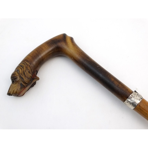 531 - Ornate Gentleman's Walking Stick / Cane : a circa 1900 carved dogs head (with glass eyes ) handle st... 