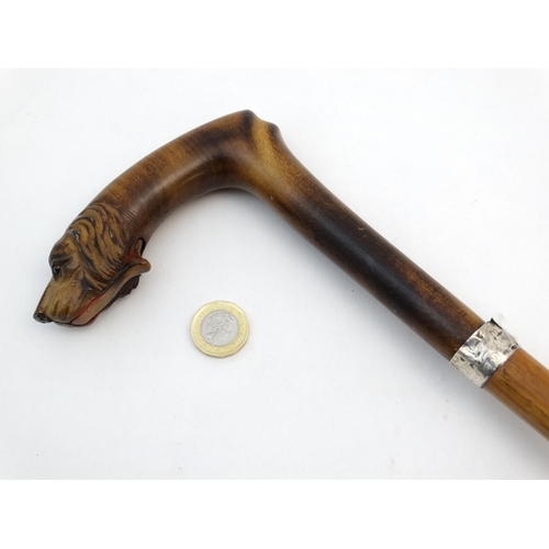 531 - Ornate Gentleman's Walking Stick / Cane : a circa 1900 carved dogs head (with glass eyes ) handle st... 