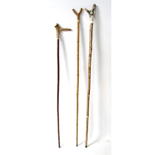 532 - Walking Sticks: A collection of three antler handles sticks to include a National Organisation of Be... 