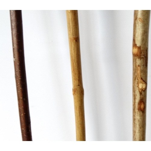 532 - Walking Sticks: A collection of three antler handles sticks to include a National Organisation of Be... 