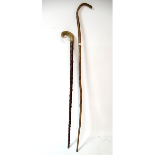 534 - Walking Sticks: A hazel wood walking stick / crook with horn handle and brass ferrule, together with... 