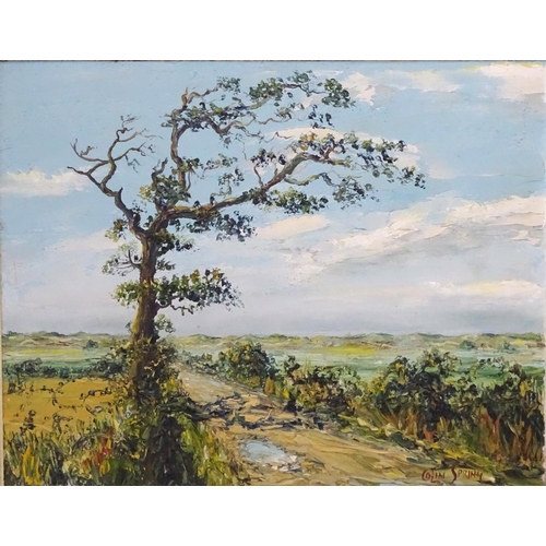 135 - Colin Spring  XX, Oil on canvas board, The old oak tree before the dunes, Signed lower right ,high i... 