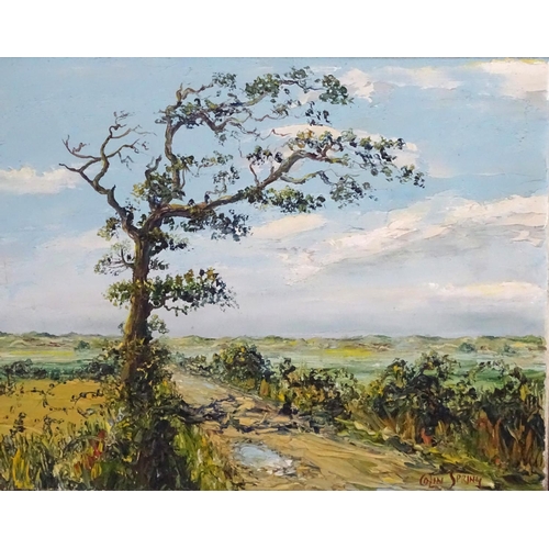 135 - Colin Spring  XX, Oil on canvas board, The old oak tree before the dunes, Signed lower right ,high i... 