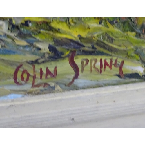 135 - Colin Spring  XX, Oil on canvas board, The old oak tree before the dunes, Signed lower right ,high i... 