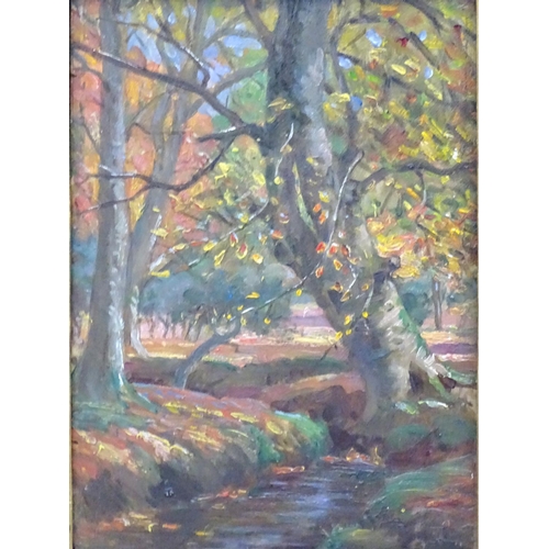 146 - Evelyn Mary Watherston (? - 1952), Oil on panel, ' Autumn in the New Forest ', Signed lower right, 1... 