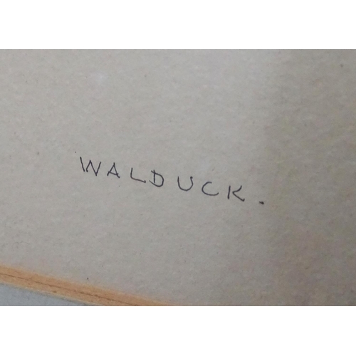 27 - Desmund Eric Walduck (1920-1995), Black and brown ink, Portrait of nude asleep, Signed ' Walduck ' l... 