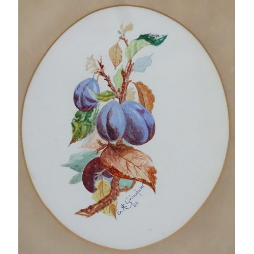 33 - E A Grimshaw, [possibly Arthur Edmund Grimshaw, 1863 - 1913], Watercolour, an oval, Plums on a branc... 