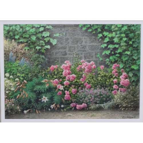 37 - Colin Newman (1991), Watercolour pastel and pencil. Roses and lilies in a flower bed. Signed and dat... 