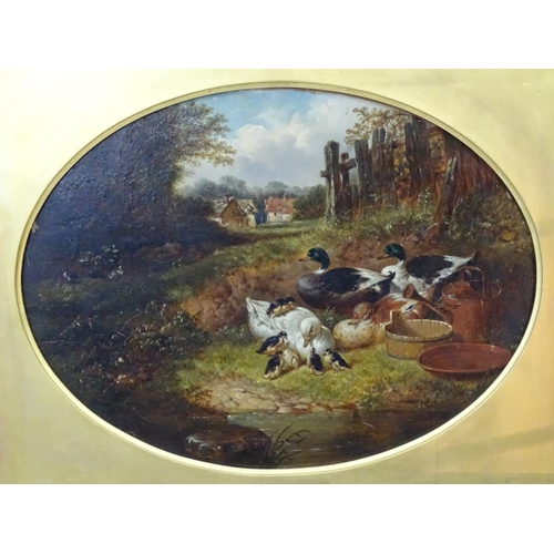 41 - John Frederick Herring  Jnr ( 1815-1907), Oil on canvas , an oval,  ' Duck And  Drakes ' , ducks and... 