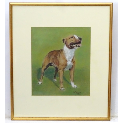 45 - A Wardle XIX- XX Canine School Arthur Wardle ?, Mixed media & chalk  Portrait of a Boxer (?) Dog Sig... 