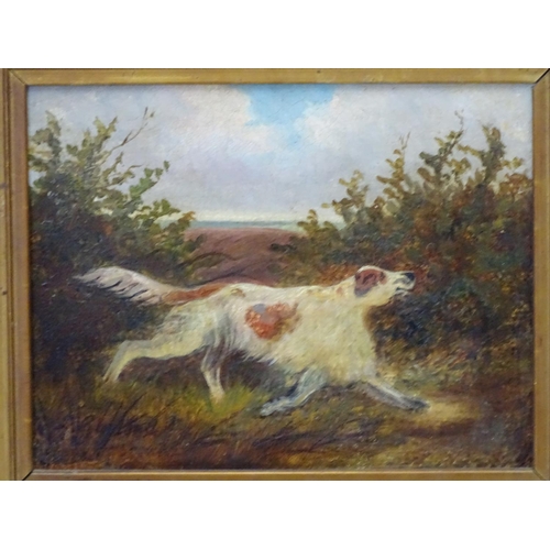 46 - Indistinctly signed English School XIX Oil on canvas,? A game dog on the heath, Indistinctly signed ... 