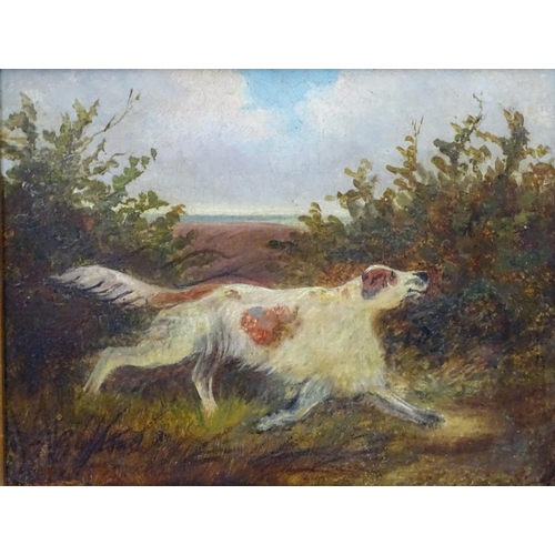 46 - Indistinctly signed English School XIX Oil on canvas,? A game dog on the heath, Indistinctly signed ... 