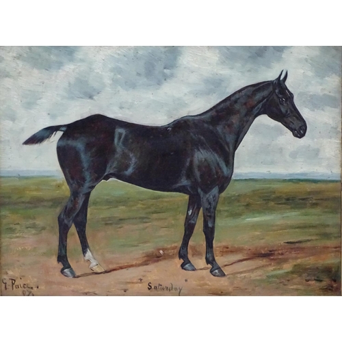 50 - George Paice (1854-1925) Equine School Oil on board 'Saturday 97' portrait of a Black Horse with one... 