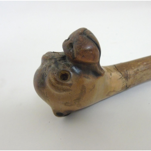 197 - A Folk Art carved hazel walking stick / cane, the root ball carved as the head of a boxer dog. the w... 