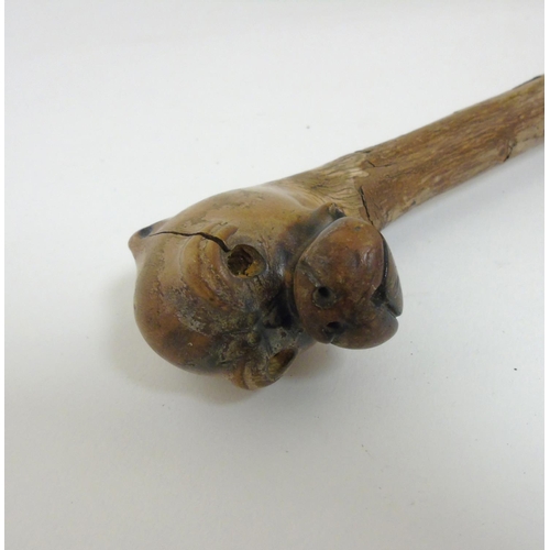 197 - A Folk Art carved hazel walking stick / cane, the root ball carved as the head of a boxer dog. the w... 